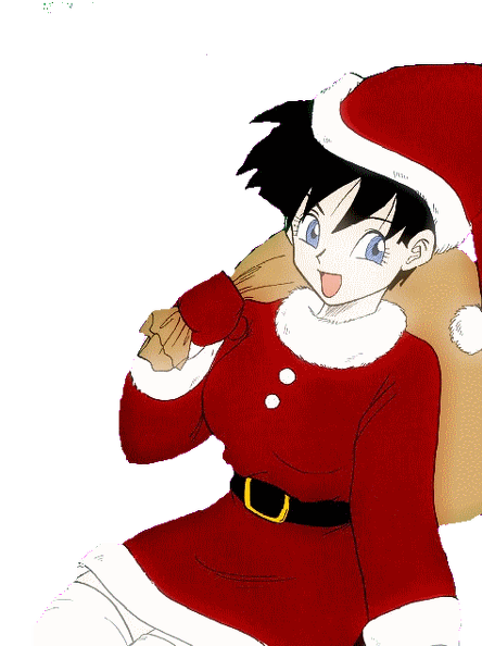 videl noel