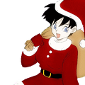 videl noel