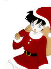 videl noel