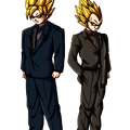 Goku et Vegeta Costard