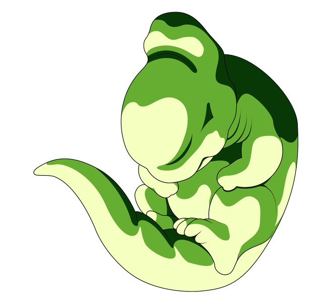 Cell Larva Form(1).png